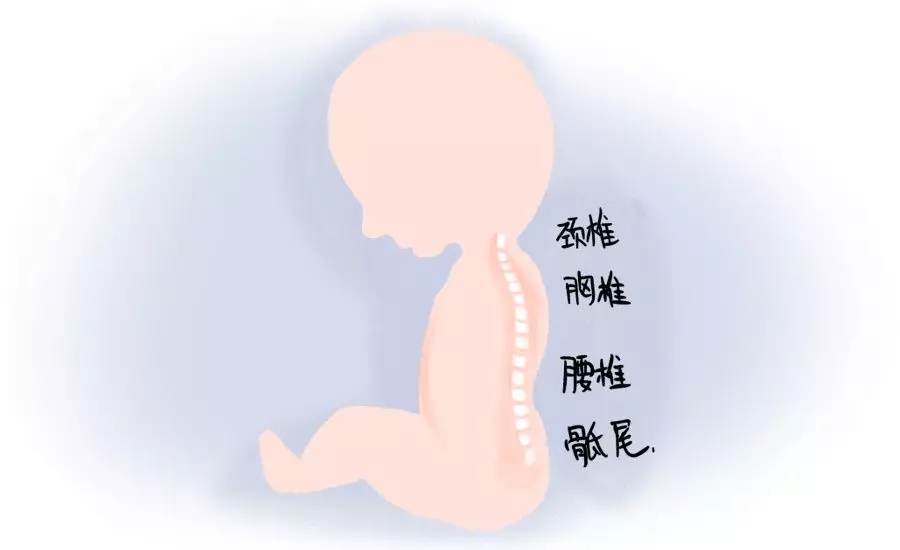 你家还在把屎把尿？？？？？这篇文章一定要看！1.webp.jpg